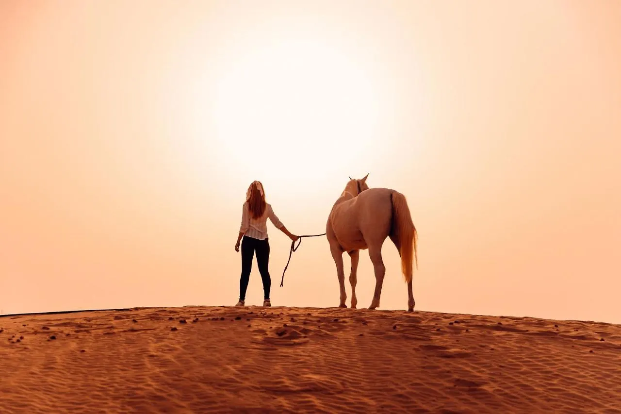 Al Wathba, A Luxury Collection Desert Resort & Spa, Abu Dhabi
